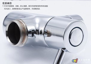 欧联卫浴DS24全铜淋浴花洒套装 ABS喷头手持花洒的卓越淋浴体验